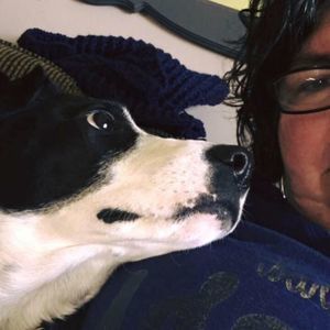 Meet your Posher, Julie